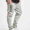 Alpha Industries Herren Jogginghose Basic AI In Grau 10