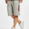 Alpha Industries Herren Shorts X-Fit In Grau 10