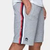 CAYLER & SONS Herren Shorts WL Taped In Grau 8