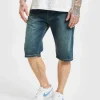 Dickies Herren Shorts Michigan In Blau 8