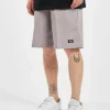 Dickies Herren Shorts “13”” Multi-Use Pocket Work” In Grau 8