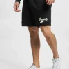 Puma Herren Shorts Team 8` TR In Schwarz 8