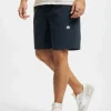 Southpole Herren Shorts Twill In Blau 8