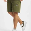 Southpole Herren Shorts Twill In Olive 8