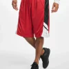 Southpole Herren Shorts Basketball Mesh In Rot 10