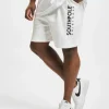 Southpole Herren Shorts Basic In Weiß 8