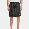 Starter Herren Shorts Pinstripe In Schwarz 8